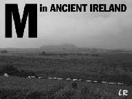 Murder in Ancient Ireland