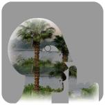 Reaching for Paradise