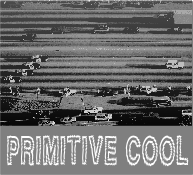 Primitive Cool: John Celona