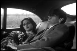 Antonioni: Story of a Love Affair